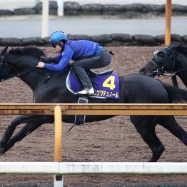 【ダービー１週前】クロワデュノール３頭併せで１Ｆ１１秒１と順調そのもの