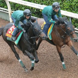 【オークス】調教マル得チェック②