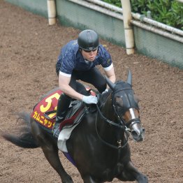 【オークス】意欲的にラストは仕掛けて12秒２　カムニャック文句なし
