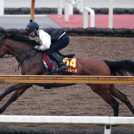 【オークス】勝負がかり！？ ２００万円の追加登録料＋好調・丹内で挑むパラディレーヌ