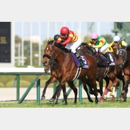 大阪杯では④着だったエコロヴァルツ