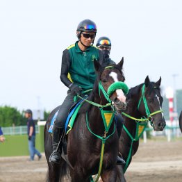 【平安Ｓ】「一段と良くなった」（小原調教助手）　ブライアンセンス重賞連勝機