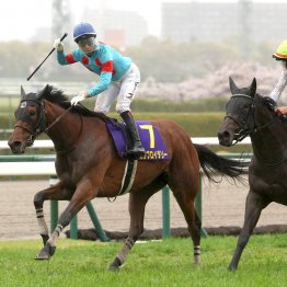 先週の結果がいい例　牝馬限定GⅠで強いのは