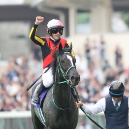 先週の結果がいい例　牝馬限定GⅠで強いのは