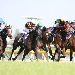 【オークス】データ作戦　ヒモ荒れで好配当ゲットだ