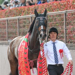 【オークス】フローラＳ馬カムニャックさらに上昇