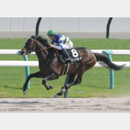 観月橋Sは極上の記録