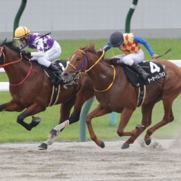 【橘の土曜競馬コラム・平安Ｓ】