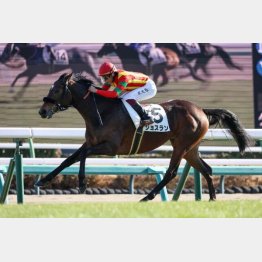 初戦は2馬身半差の快勝