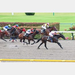 約1年前、タイキシャトルCを勝利