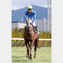 浜中が勝利へエスコート