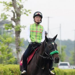 【オークス】出走全馬の特選情報