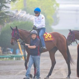 【オークス】出走全馬の特選情報