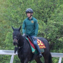 【オークス】出走全馬の特選情報