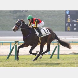 未勝利戦以来の勝利はGⅠの舞台で