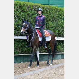 桜花賞の上位3頭ならこの馬
