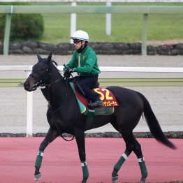 【藤岡の日曜競馬コラム・オークス】