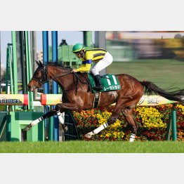 前走のフラワーＣは２馬身半差の快勝