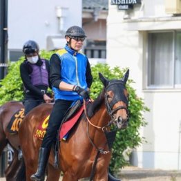 【市川の日曜競馬コラム・オークス】