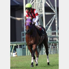 松岡が勝利に導く