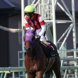 【飯島の日曜競馬コラム・韋駄天Ｓ】