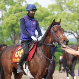 【新居の日曜競馬コラム・オークス】