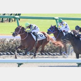 2勝目を狙う