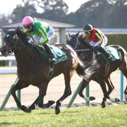 【武田の日曜競馬コラム・オークス】