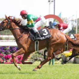 【橘の日曜競馬コラム・オークス】