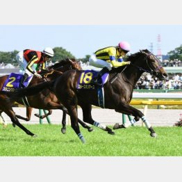 22年はスターズオンアースが2冠達成