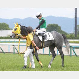 新谷はクリノフィガロを信頼
