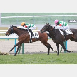 1勝クラス勝ちを見直す