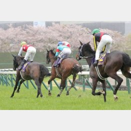 桜花賞では前に2頭いたが・・・