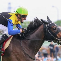 【オークス】カムニャック筋金入りのクラシック血統　この舞台は絶好です