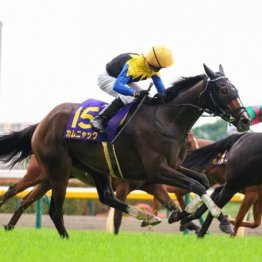【オークス】カムニャック差し切りで樫の女王に