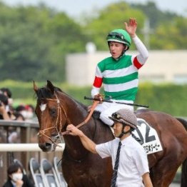 【日本ダービー】ミュージアムマイルは王道ローテで史上２５頭目の春２冠目指す
