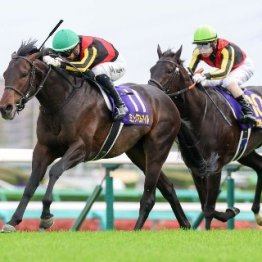 【日本ダービー】ダービー馬の子か、父のリベンジか