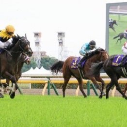 秋に期待が持てる内容は