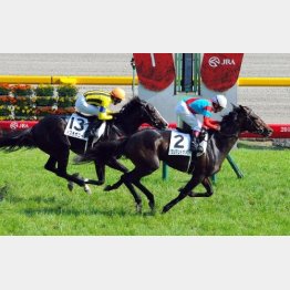 14年は1枠ワンアンドオンリーがV