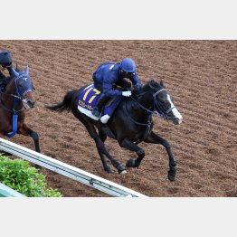 マスカレードボールは併せに半馬身先着