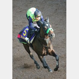サトノシャイニングはフットワーク以上に伸びのある動き