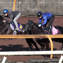 【日本ダービー】クロワデュノール最高潮