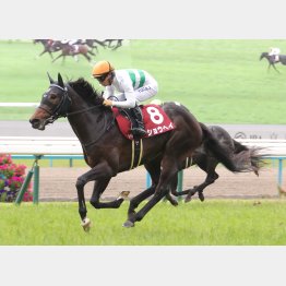 京都新聞杯で重賞初V