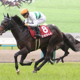 【日本ダービー】ショウヘイ一気の頂点取り