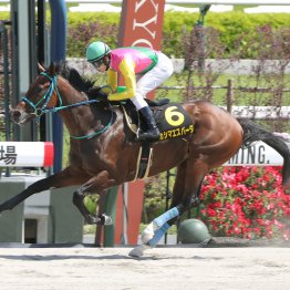 【鳳雛Ｓ】難読レース！？ カテゴリー活躍馬を多く輩出する大久保厩舎が送るエコロスパーダ