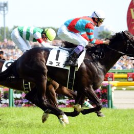 【日本ダービー】１５年連続３６度目のダービーにサトノシャイニングで挑む武豊に聞く