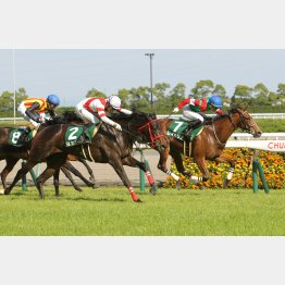 21年は上位独占で3連単145万馬券