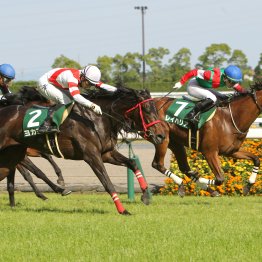 【葵Ｓ】データ作戦　今年も牝馬を狙え
