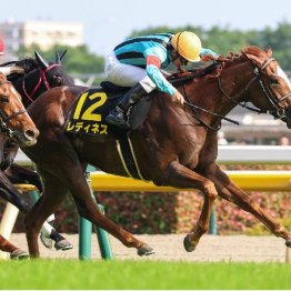 【日本ダービー】皐月賞組だけじゃない！ 魅力たっぷりの東西前走勝ちの２頭