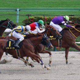 【市川の土曜競馬コラム・アハルテケＳ】